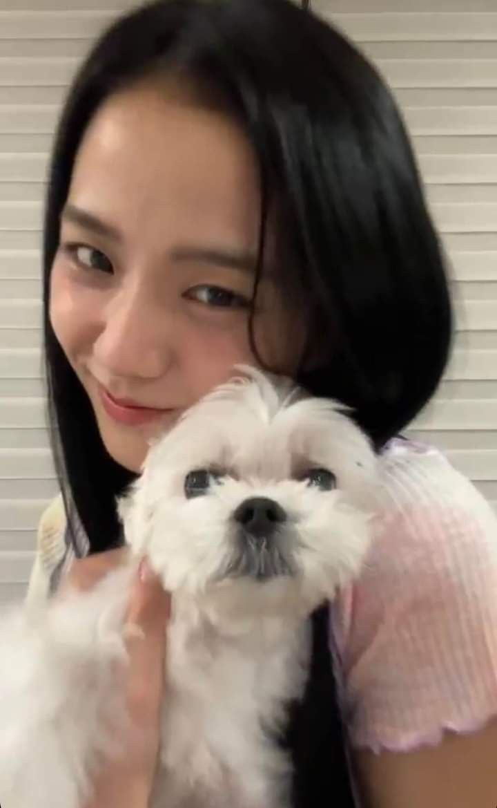 韓星「愛犬」盤點：GD 沙皮犬家虎、Jennie 博美 Kuma、田柾國杜賓犬 Bam⋯10 位人氣毛孩全公開！