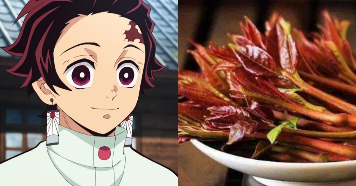 《鬼滅之刃》主角團都愛吃哪些食物？炭治郎愛吃香椿芽、風柱愛吃紅豆荻餅⋯真粉絲必須知道！