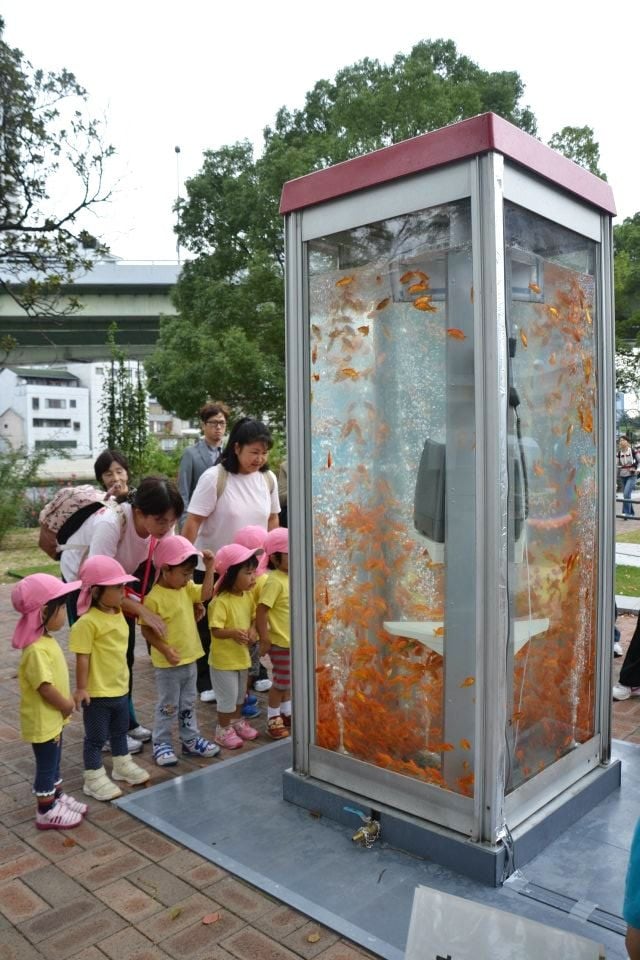 拒絕成為時代的眼淚！日本將廢棄電話亭變身金魚天堂！
