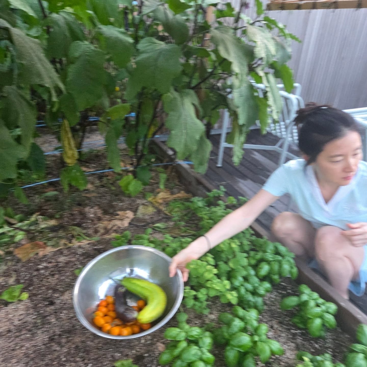 李英愛 IG 曬種菜日常！全素顏狀態驚豔網友：「超凍齡！」