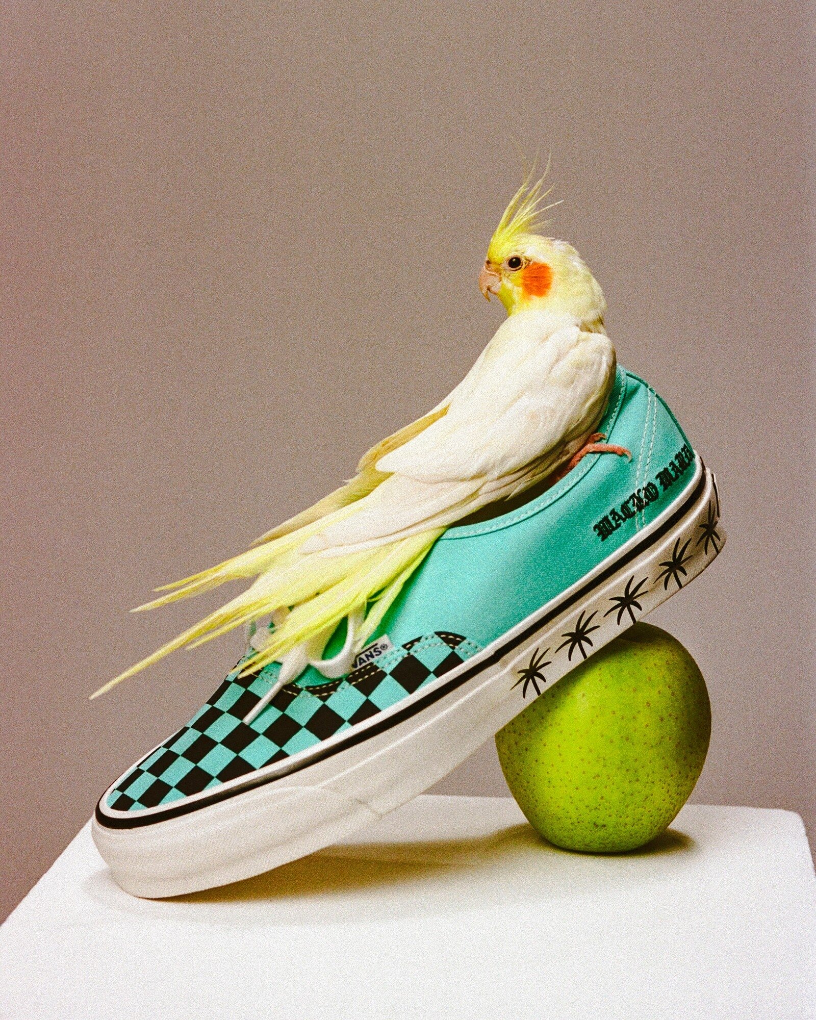 Vans x WACKO MARIA 台灣發售資訊一覽!經典滑板鞋踏上天國東京展現叛逆美學!