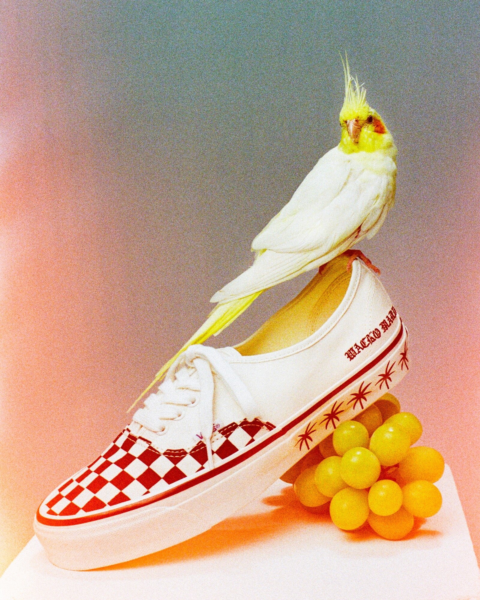 Vans x WACKO MARIA 台灣發售資訊一覽!經典滑板鞋踏上天國東京展現叛逆美學!