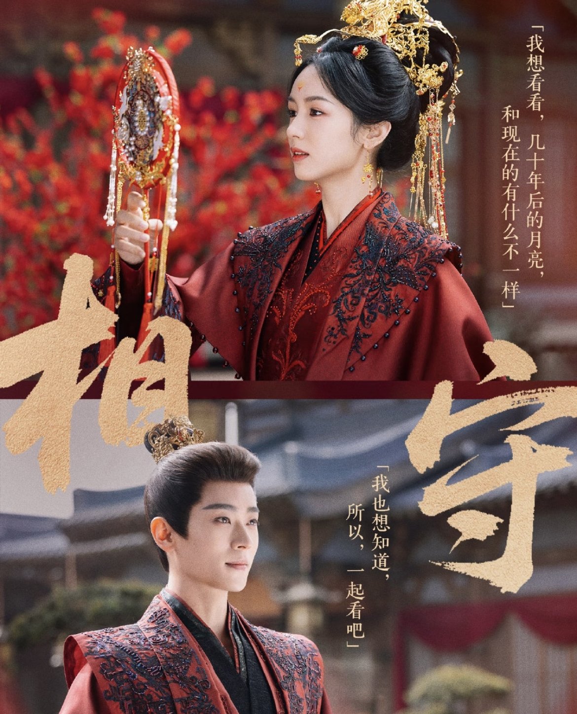 《錦月如歌》大結局甜虐收尾引熱議!周也嫁衣美到上熱搜、丞磊帥出人生鏡頭⋯精彩亮點一次看!