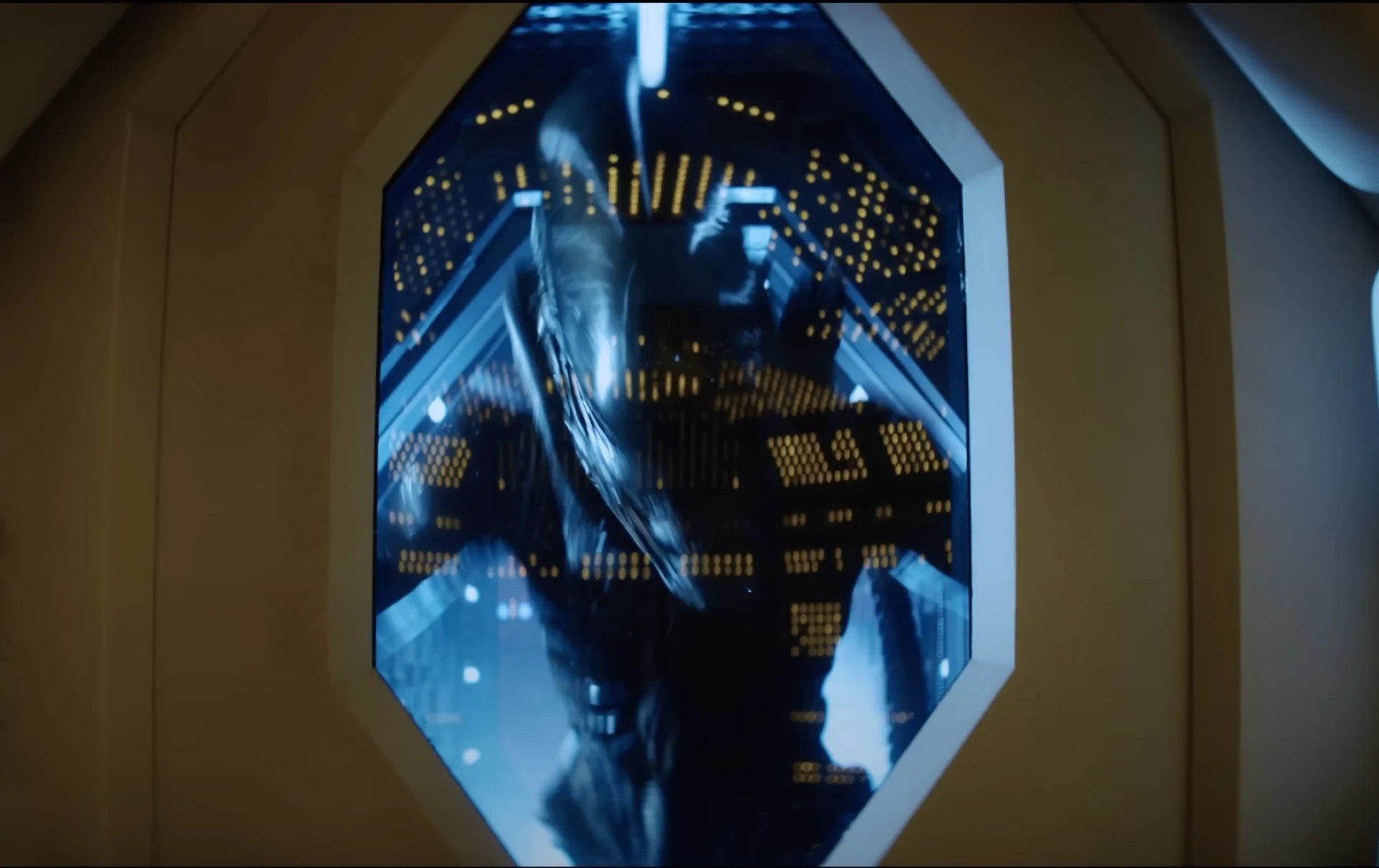 最經典的異形與全新詭異怪物首度入侵地球！揭曉Disney+獨家影集《異形：地球》的5大看點！