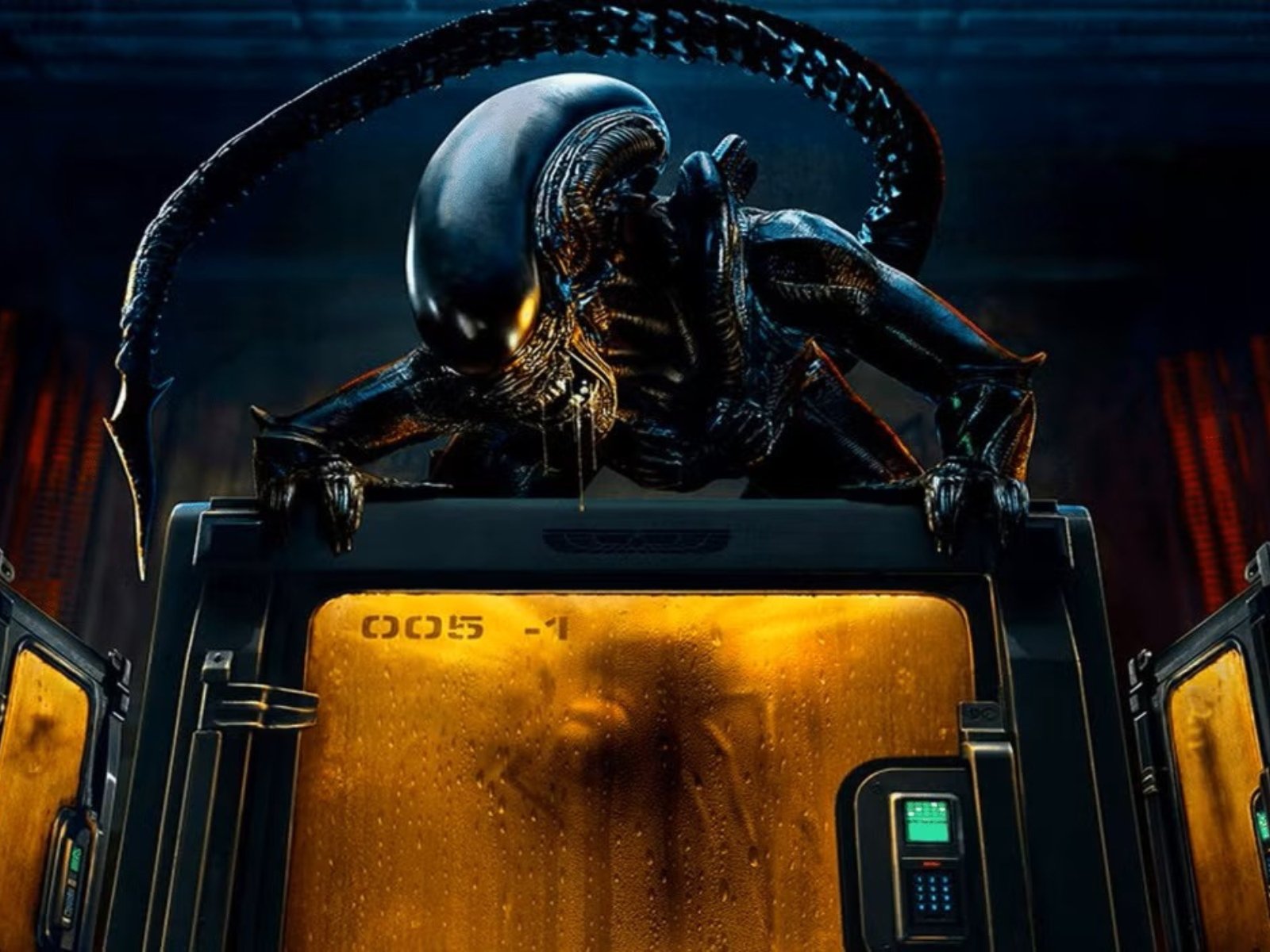 最經典的異形與全新詭異怪物首度入侵地球！揭曉Disney+近期熱議話題影集《異形：地球》的5大看點！