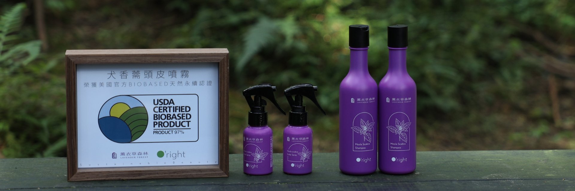 秋冬頭皮油塌救星登場！薰衣草森林 × 歐萊德跨界 犬香薷頭皮養護系列，舒緩頭皮、香氛療癒、蓬鬆髮型全方位加分！