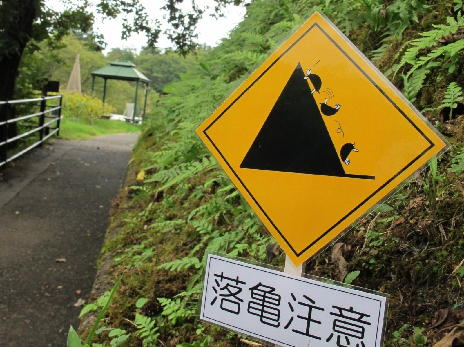 日本公園驚見「小心落龜」告示牌！背後真相曝光笑翻網友！