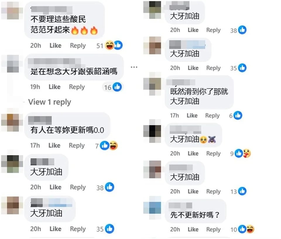 范瑋琪演唱會票房賣不好！臉書留言遭網友洗版！