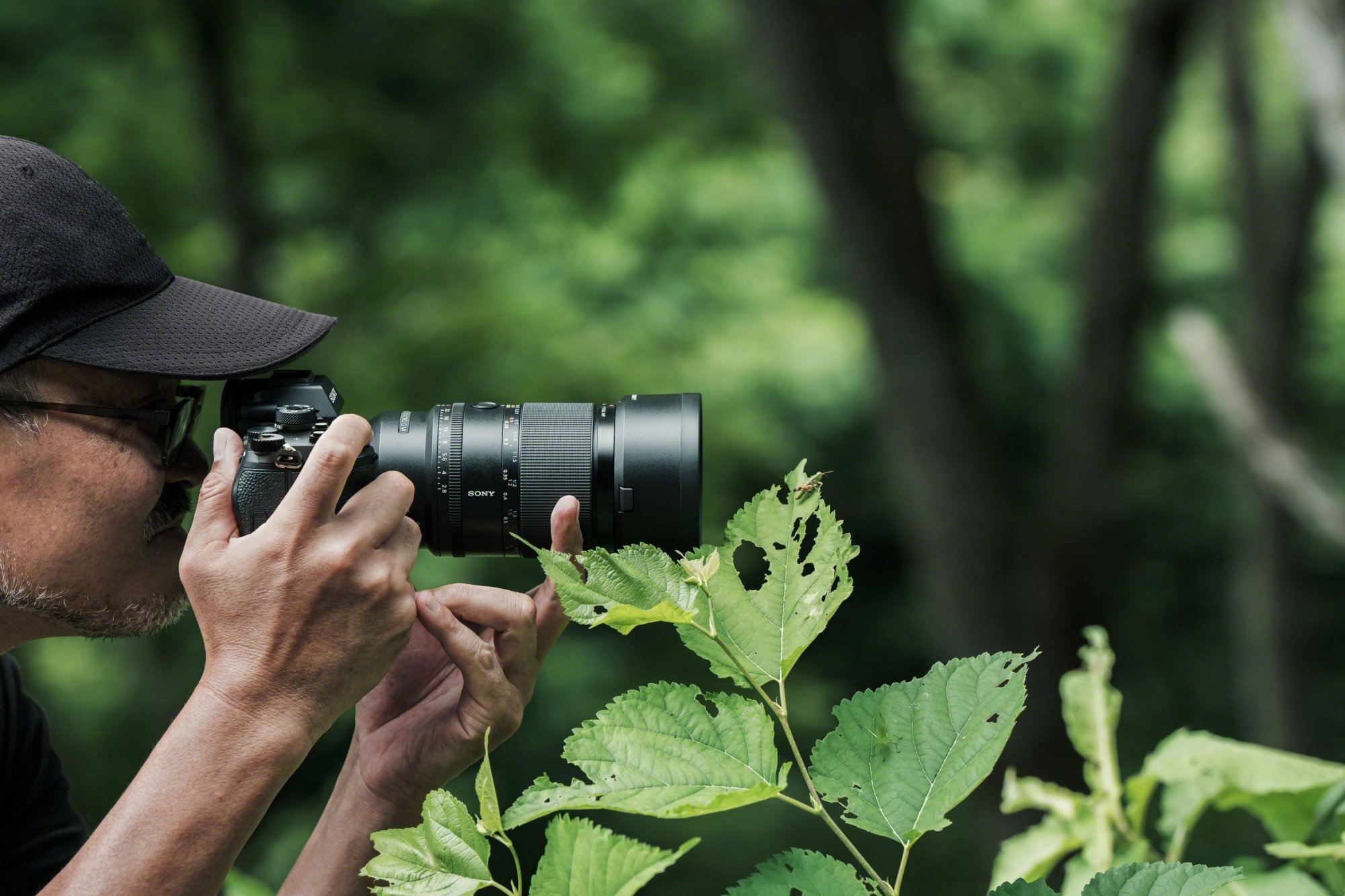 Sony 全新 E 接環 FE 100mm F2.8 GM大光圈中望遠微距鏡頭