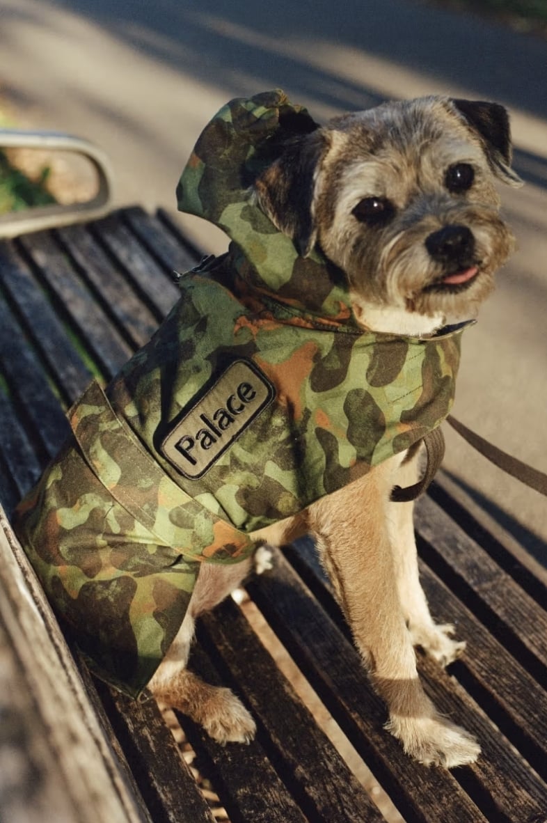Palace x Barbour 再次回歸聯名,以軍裝風打造英式街頭冬季衣櫃!