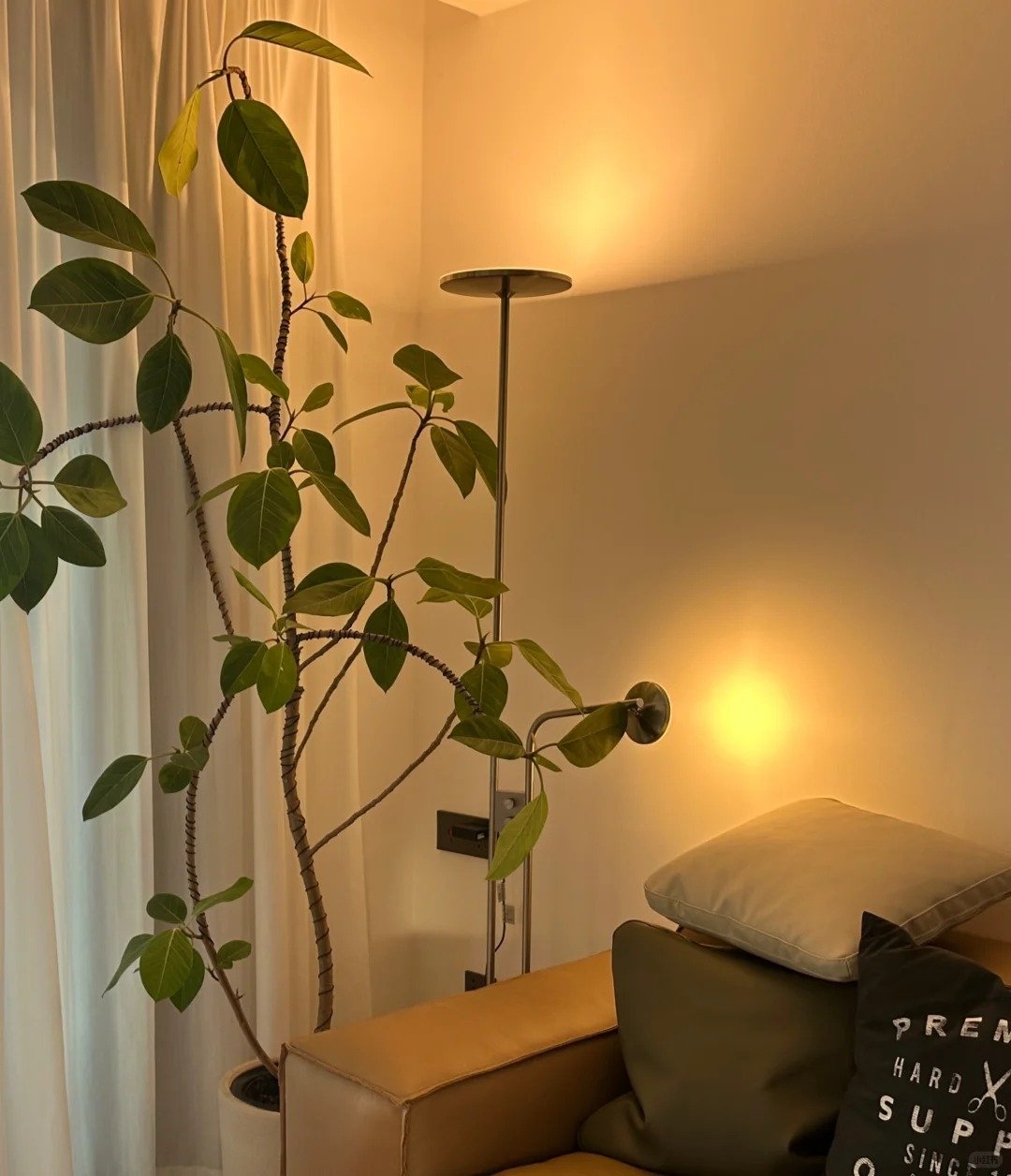 2025 IKEA 必買好物推薦總整理:甜甜圈燈、復古旋轉椅|特色、價格、哪裡買⋯一次看!