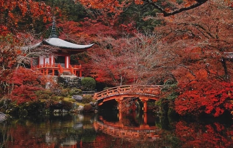 2025 日本賞楓景點推薦總整理：東京六義園、富士山河口湖｜特色、觀賞時間、拍照點⋯一次看！