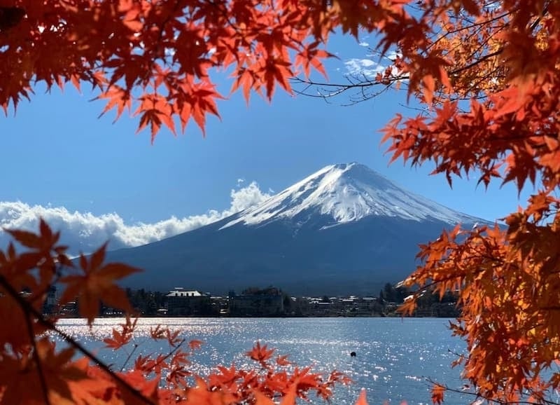 2025 日本賞楓景點推薦總整理：東京六義園、富士山河口湖｜特色、觀賞時間、拍照點⋯一次看！