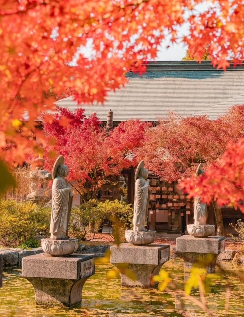 2025 日本賞楓景點推薦總整理：東京六義園、富士山河口湖｜特色、觀賞時間、拍照點⋯一次看！