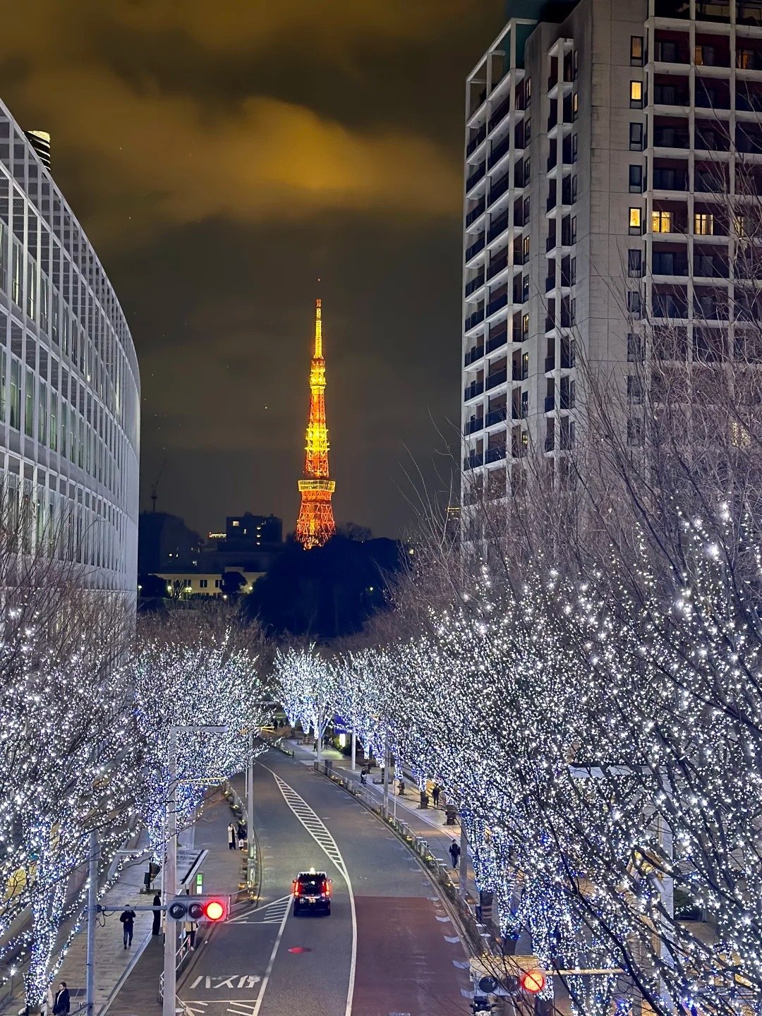 東京六本木聖誕點燈浪漫登場，時間、拍照點一次看！加碼推薦 5 個絕美銀杏勝地！