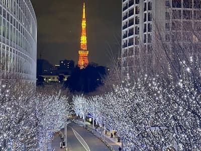東京六本木聖誕點燈浪漫登場，時間、拍照點一次看！加碼推薦 5 個絕美銀杏勝地！