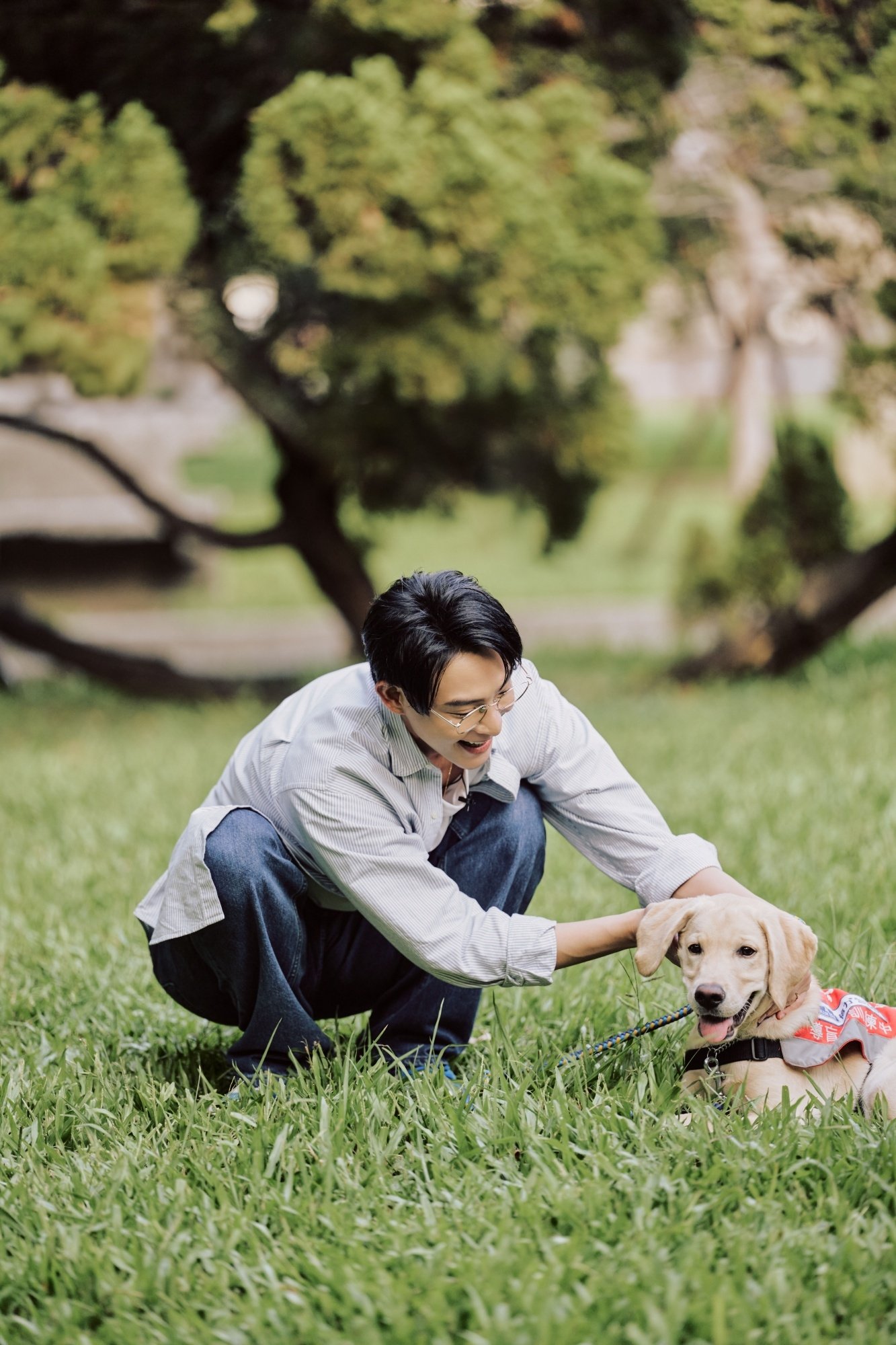 JINS 連六年捐義賣所得 攜手連晨翔成為導盲犬的光