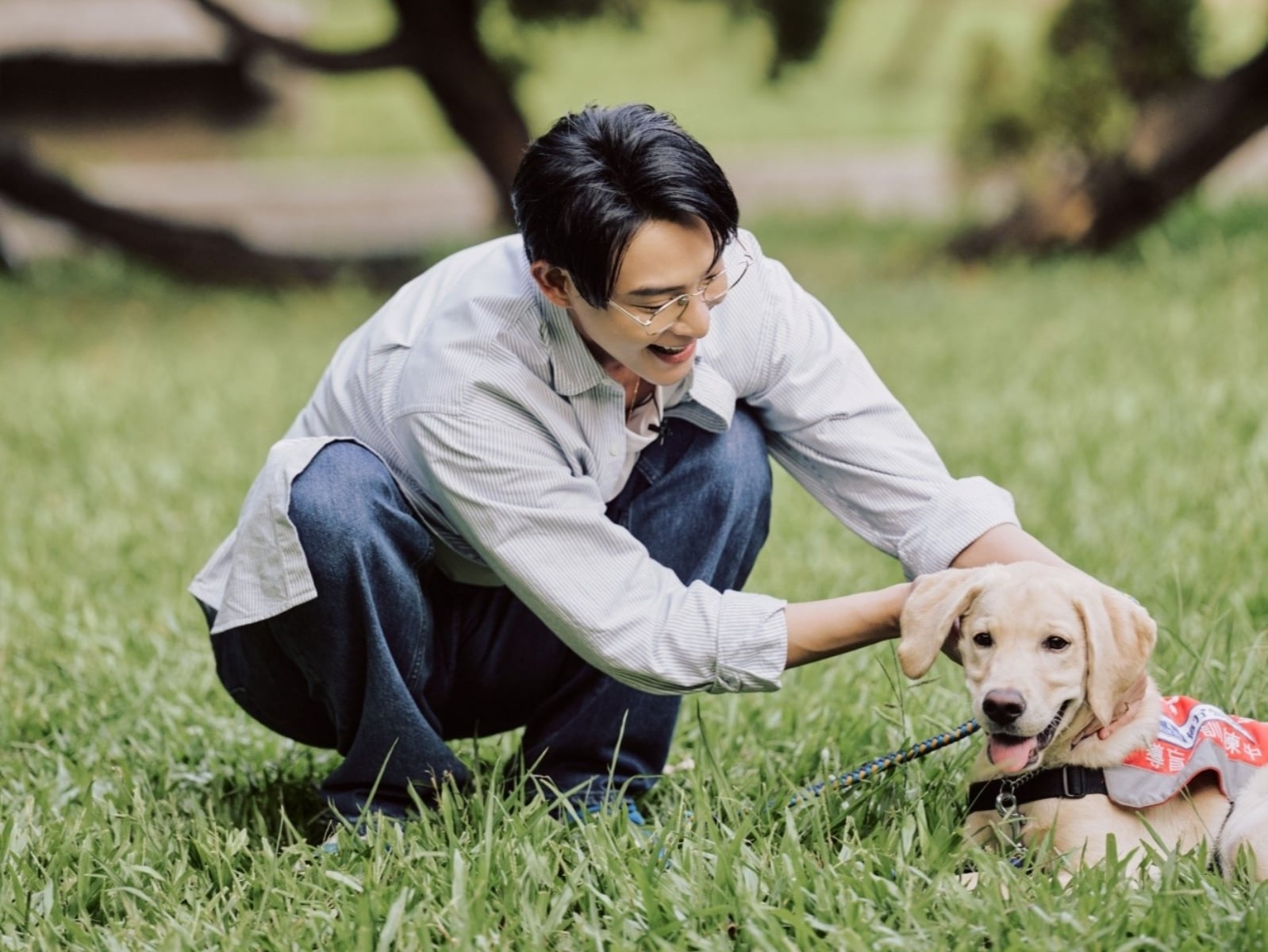 JINS 連六年捐義賣所得 攜手連晨翔成為導盲犬的光