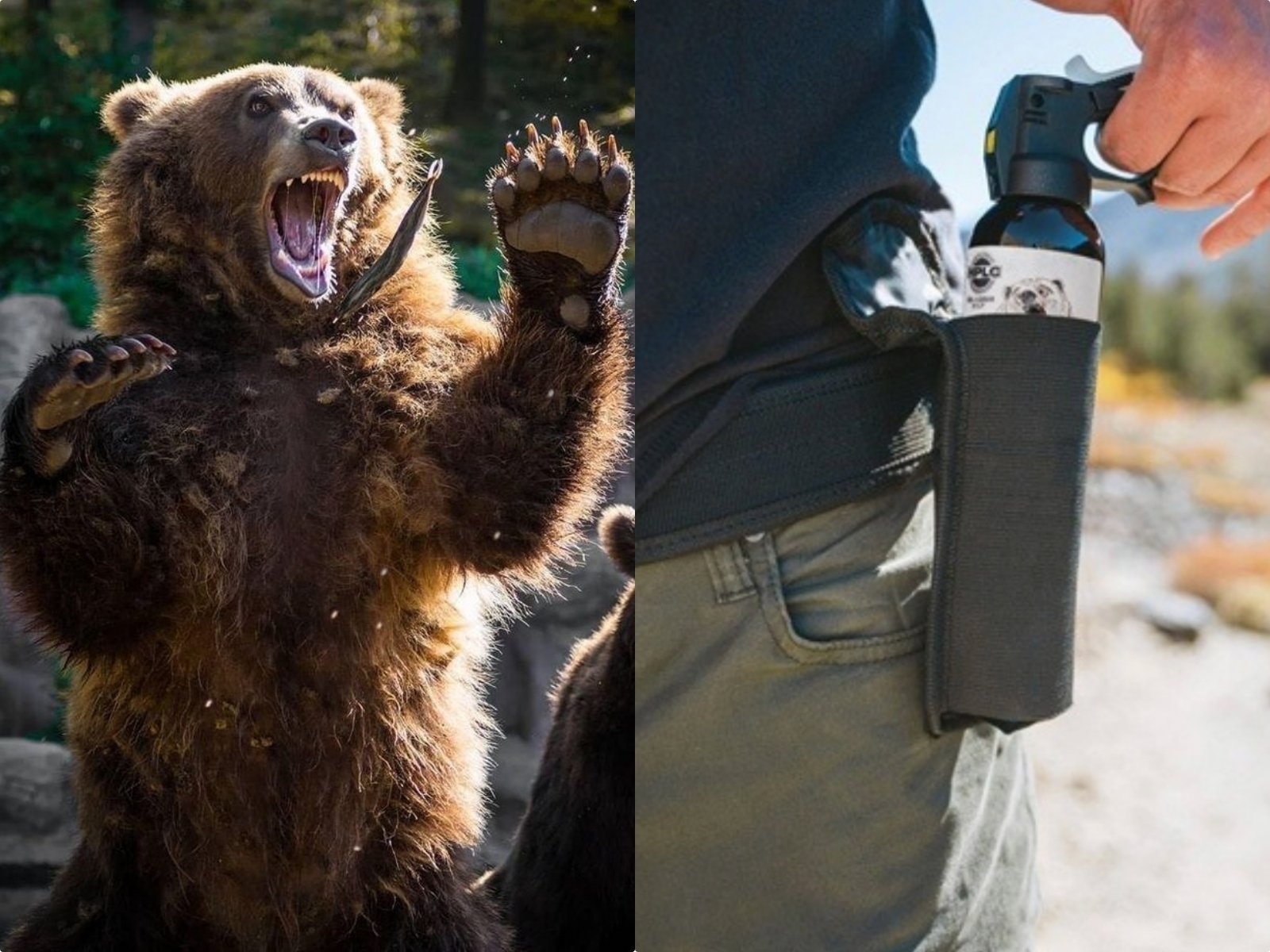 日本 montbell 推出「防熊噴霧」：租借方式、費用、怎麼使用⋯一次看！