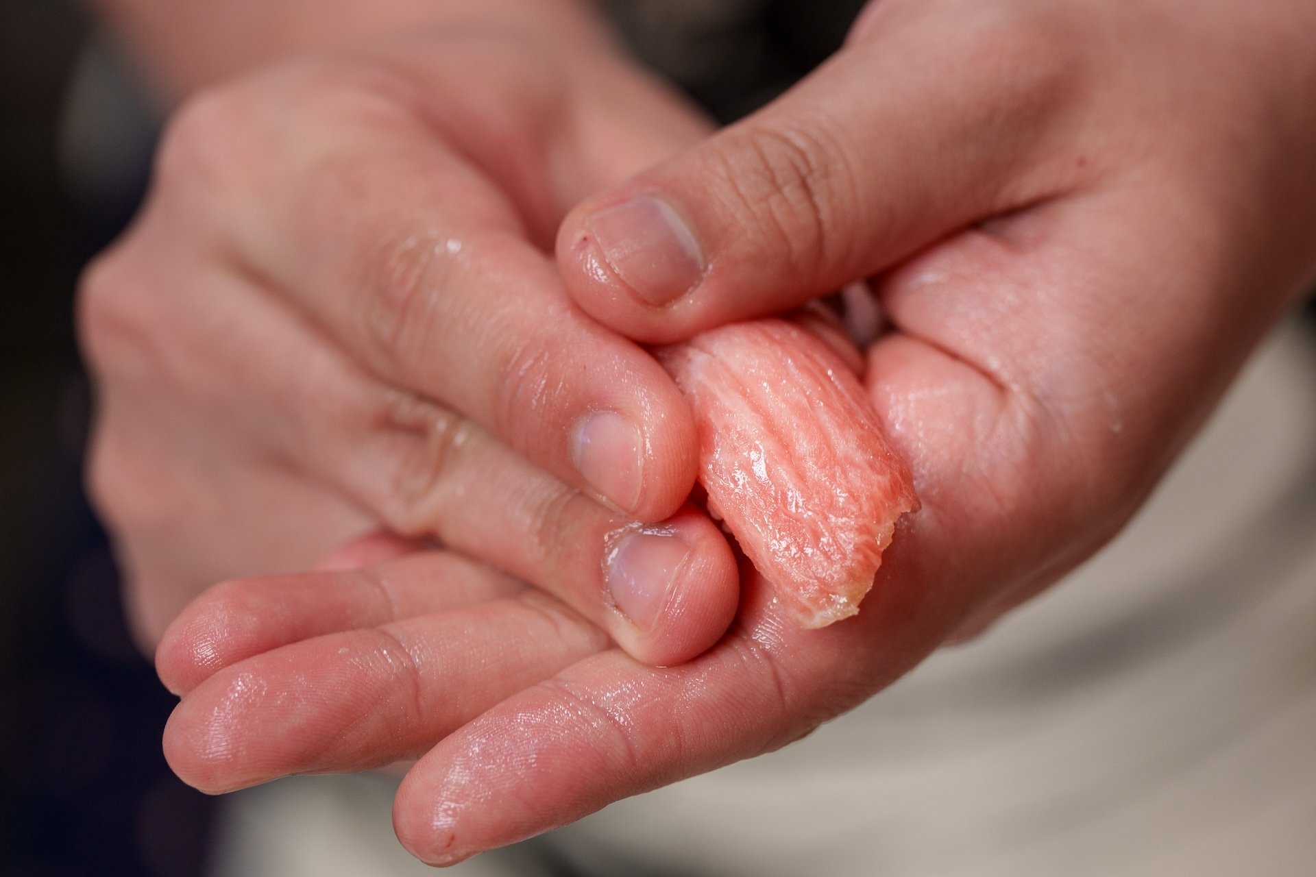「合點壽司」推出「總料理長私房特選套餐」，35 年壽司職人的美味吃法 11/19 限定開賣！