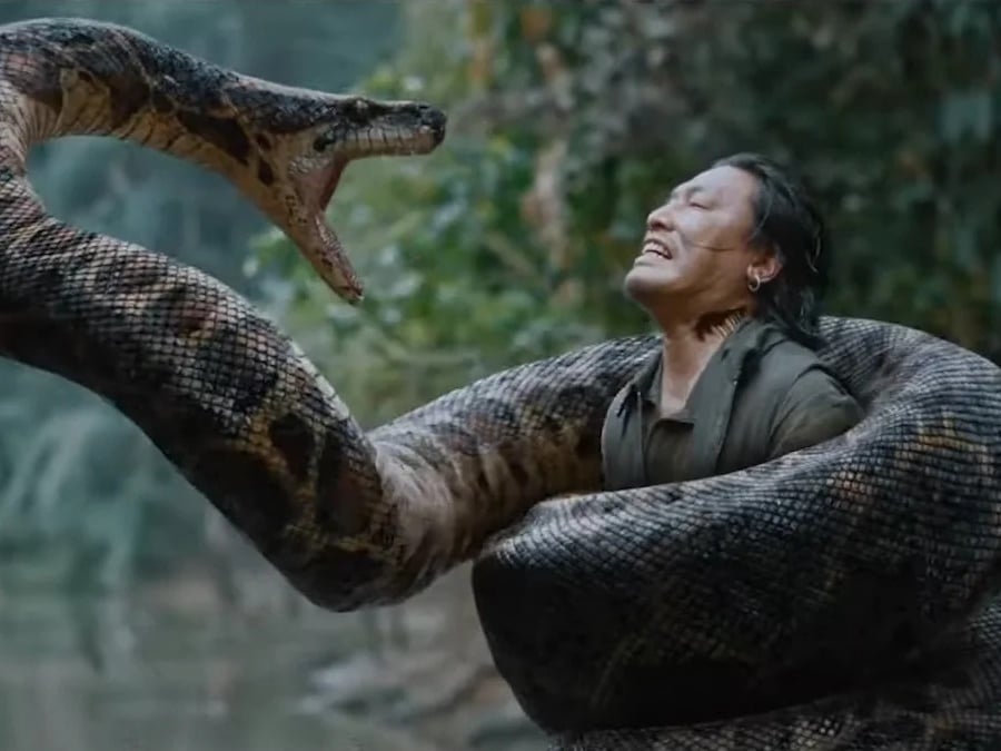 重啟版《大蟒蛇》電影即將上映！保羅魯德 Paul Rudd、傑克布萊克 Jack Black 演員陣容、劇情故事亮點解析！