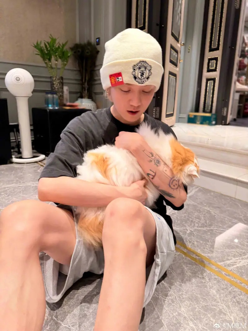 鹿晗豪宅內裝意外曝光!遭眼尖網友發現「面紙盒要價 3800 元」財力驚人!