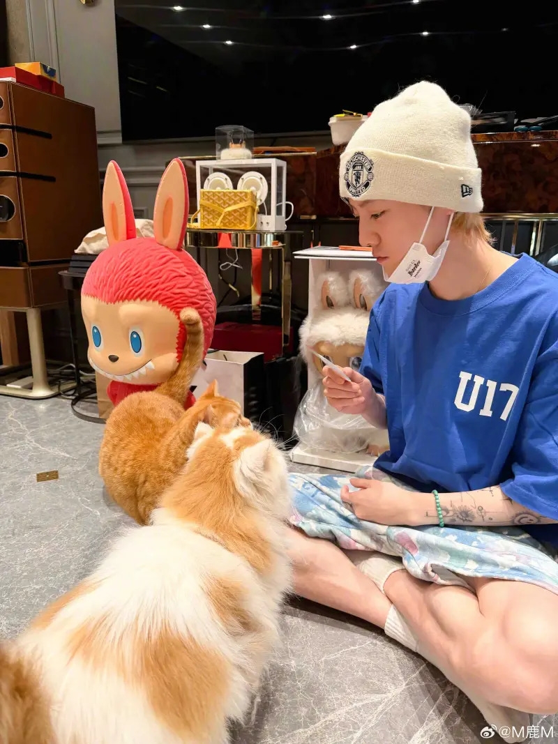 鹿晗豪宅內裝意外曝光!遭眼尖網友發現「面紙盒要價 3800 元」財力驚人!