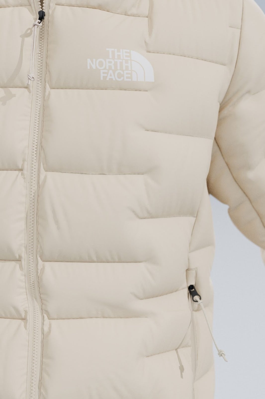 The North Face 北面鵝絨寫真館 限時登陸台中新光三越