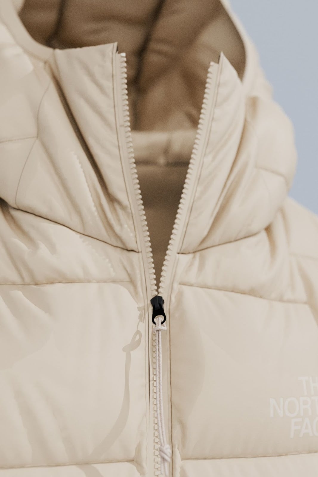 The North Face 北面鵝絨寫真館 限時登陸台中新光三越