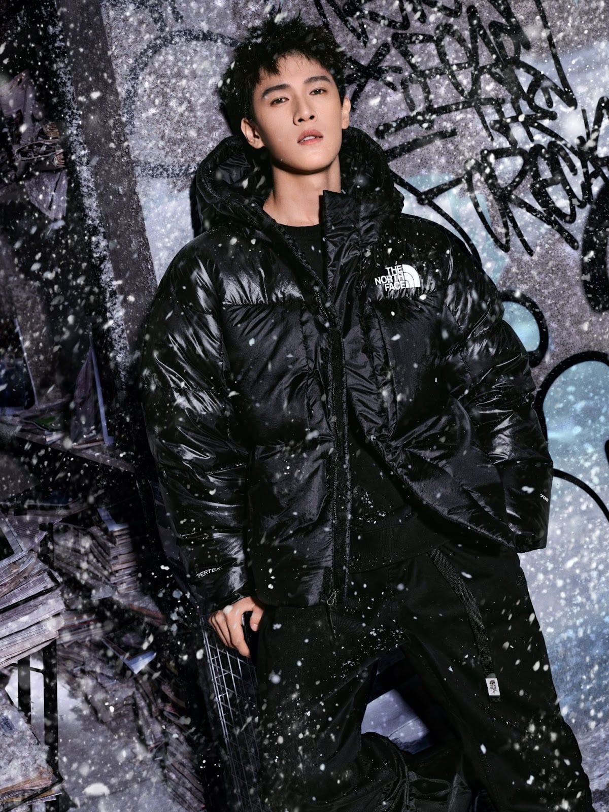 The North Face 北面鵝絨寫真館 限時登陸台中新光三越