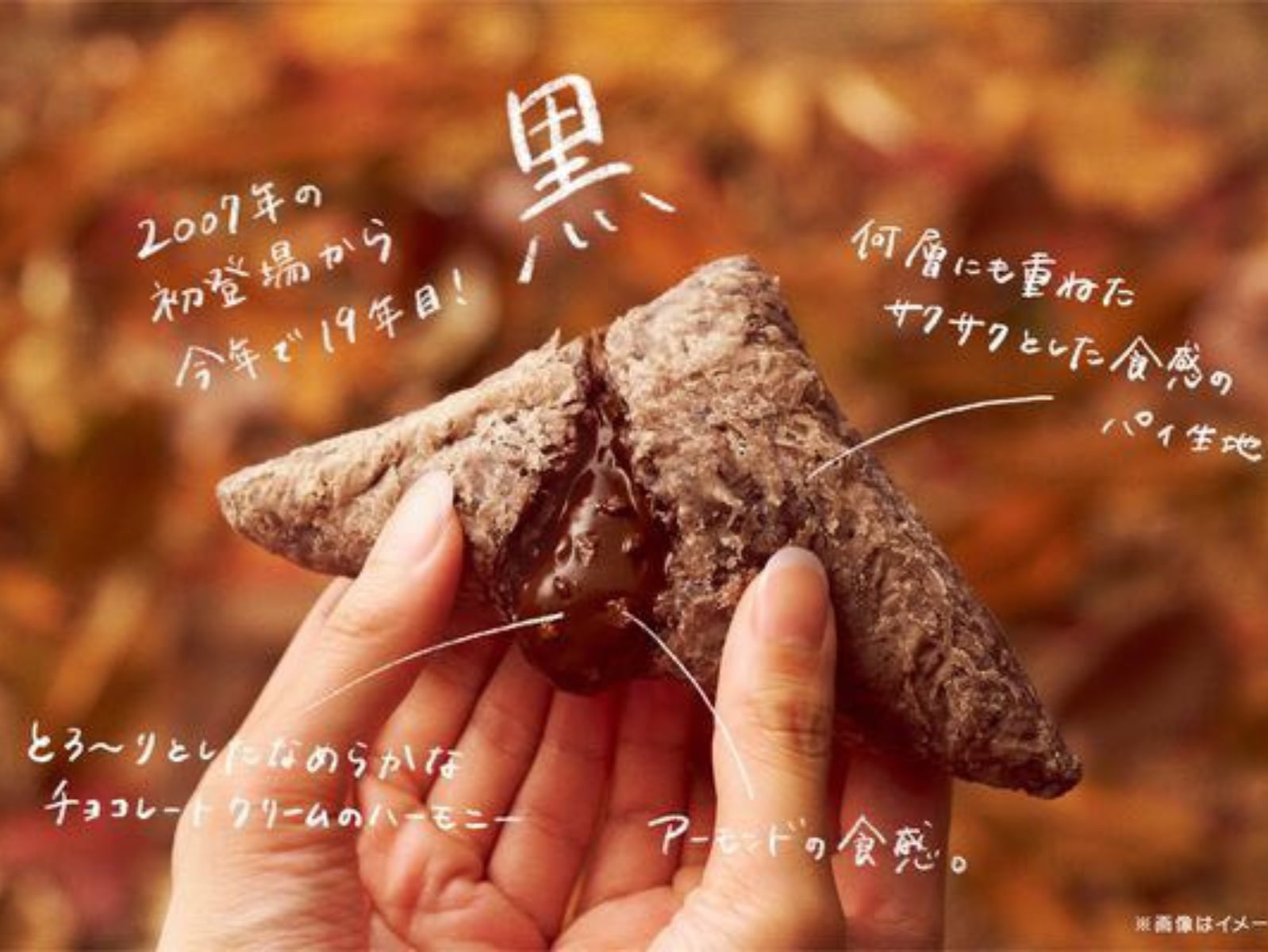 日本麥當勞「巧克力三角派」即將登陸台灣，開賣時間曝光！