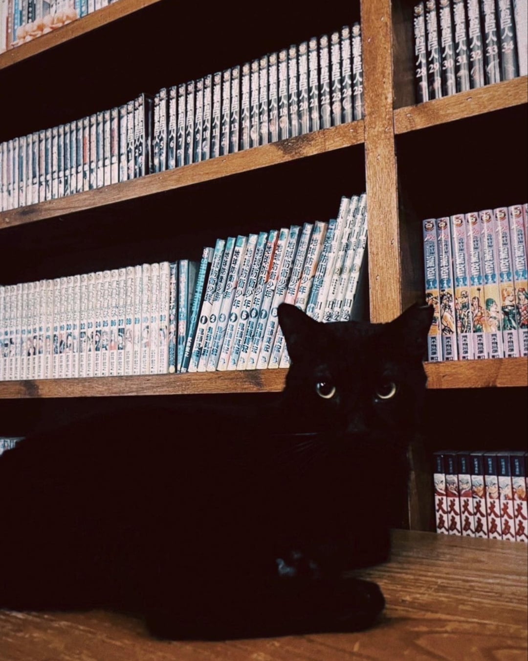 2025「8 家台北深夜咖啡廳」推薦!夜貓專屬的深夜續命好去處