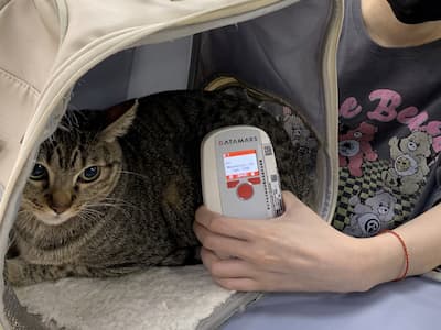 12/15 世界貓奴日別只顧吸貓！明年起家貓「未登記晶片」最高罰 1.5 萬！