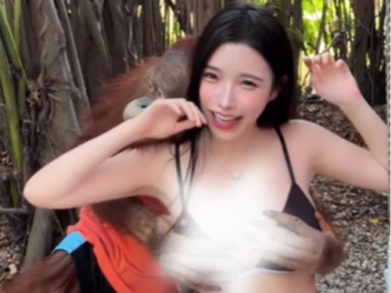 藍星蕾動物園遭環抱、強吻！事後羞問粉絲：「你們技術有牠厲害？」【野生抓正妹】