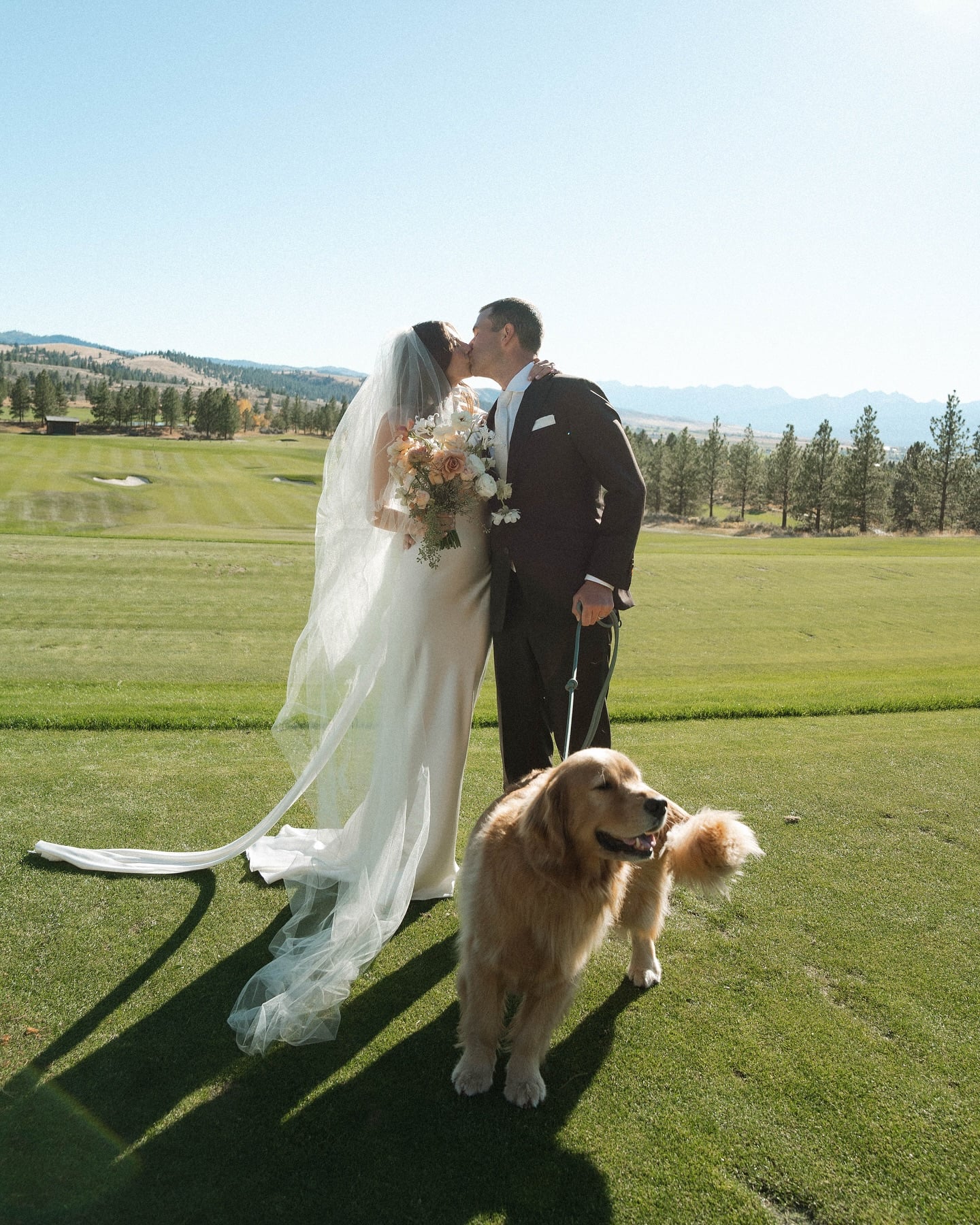 毛孩終於能見證人生大事！美國「寵物友善法」讓汪星人、喵星人甚至倉鼠當證婚人