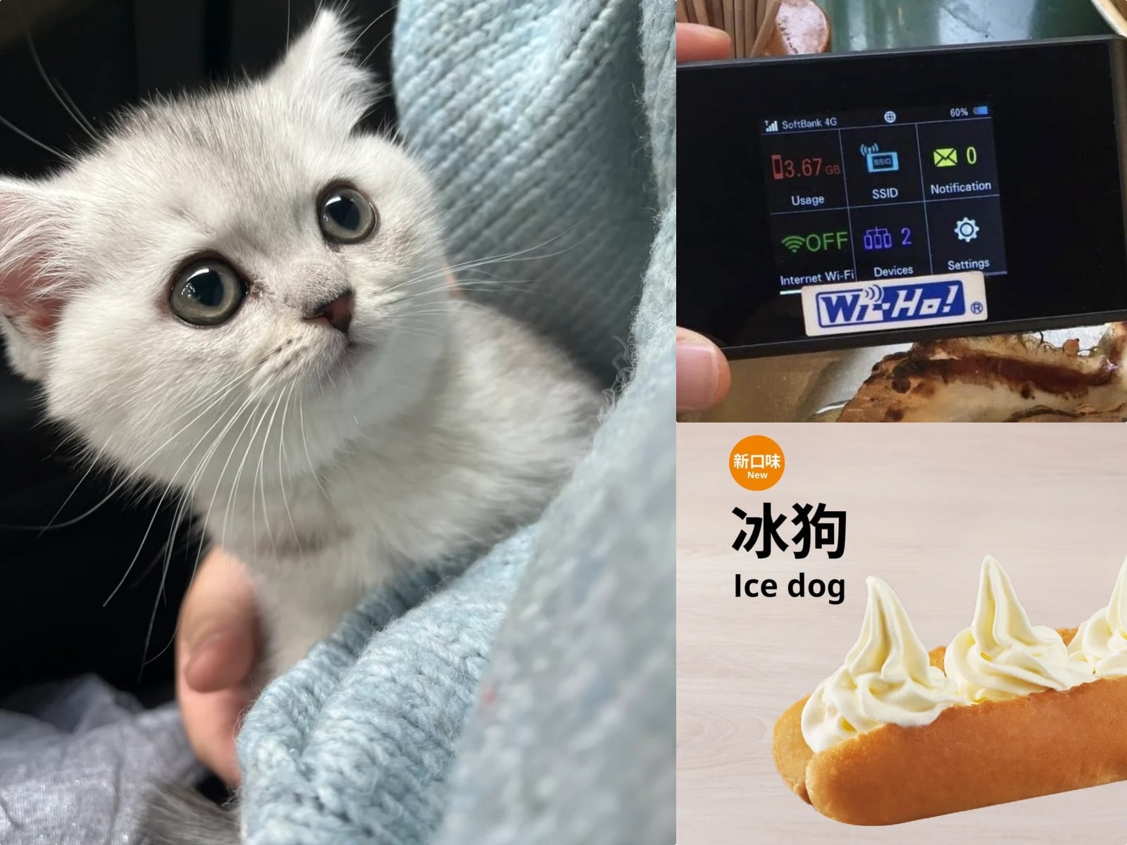 麥當勞聯名《勇者鬥惡龍》、 Wi-Ho 特樂通歇業、天赦日撞冬至⋯【JUKSY 美食旅遊一週大小事】