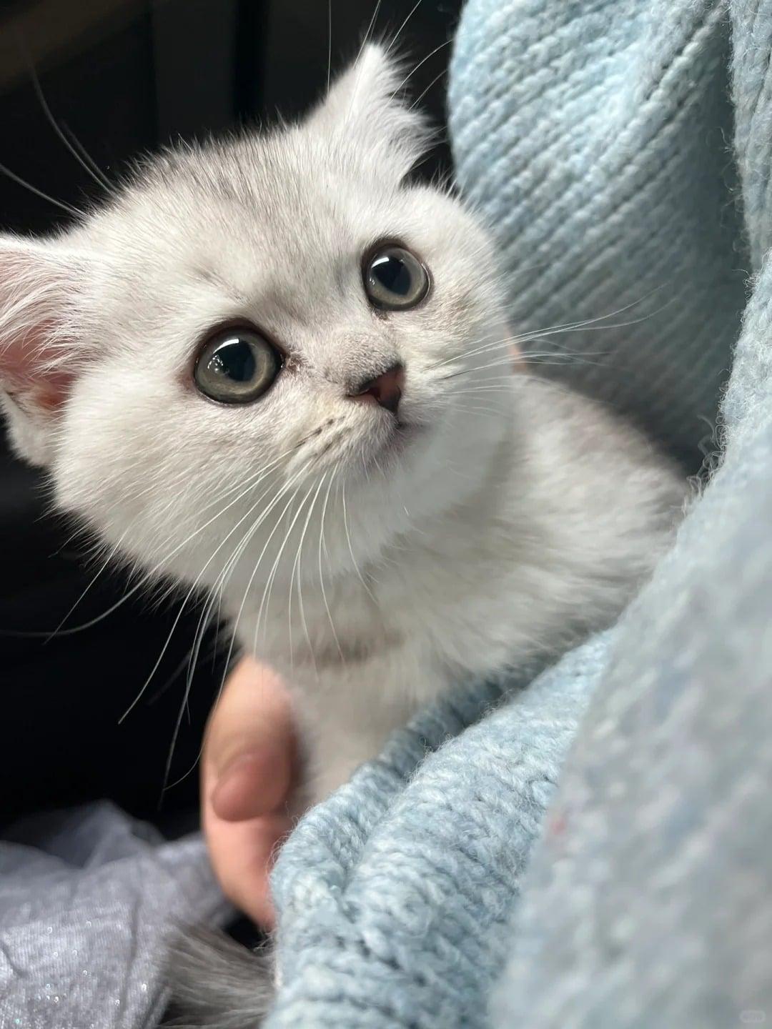 麥當勞聯名《勇者鬥惡龍》、 Wi-Ho 特樂通歇業、天赦日撞冬至⋯【JUKSY 美食旅遊一週大小事】