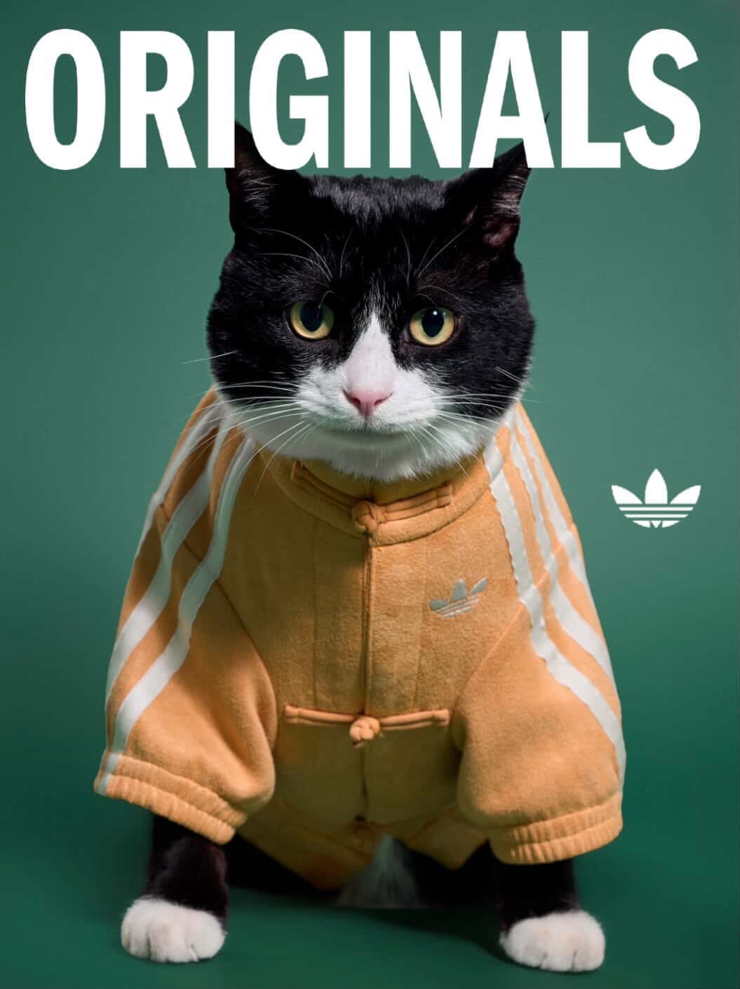 adidas 寵物系列也推爆紅中式運動外套！毛孩也能一起穿帥迎接農曆新年了！