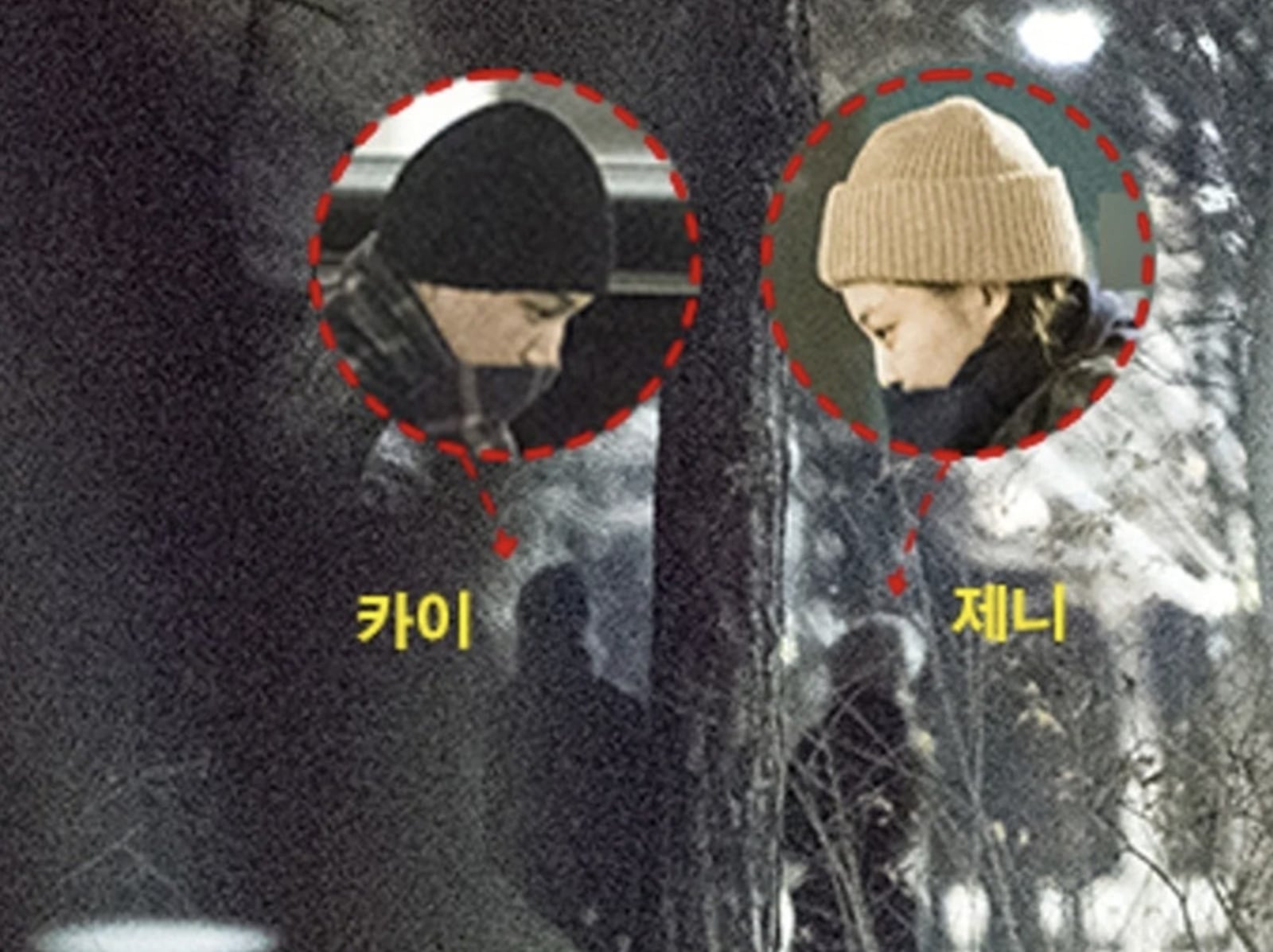 D 社飆髒話預告「我回來了！」 2026 元旦情侶回歸引網瘋猜 CP！