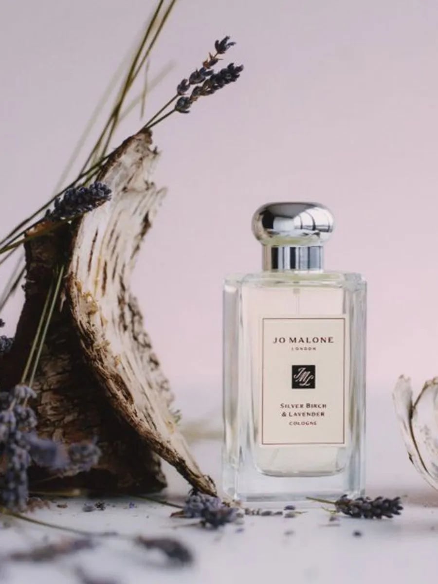 Jo Malone London「白樺木與薰衣草」