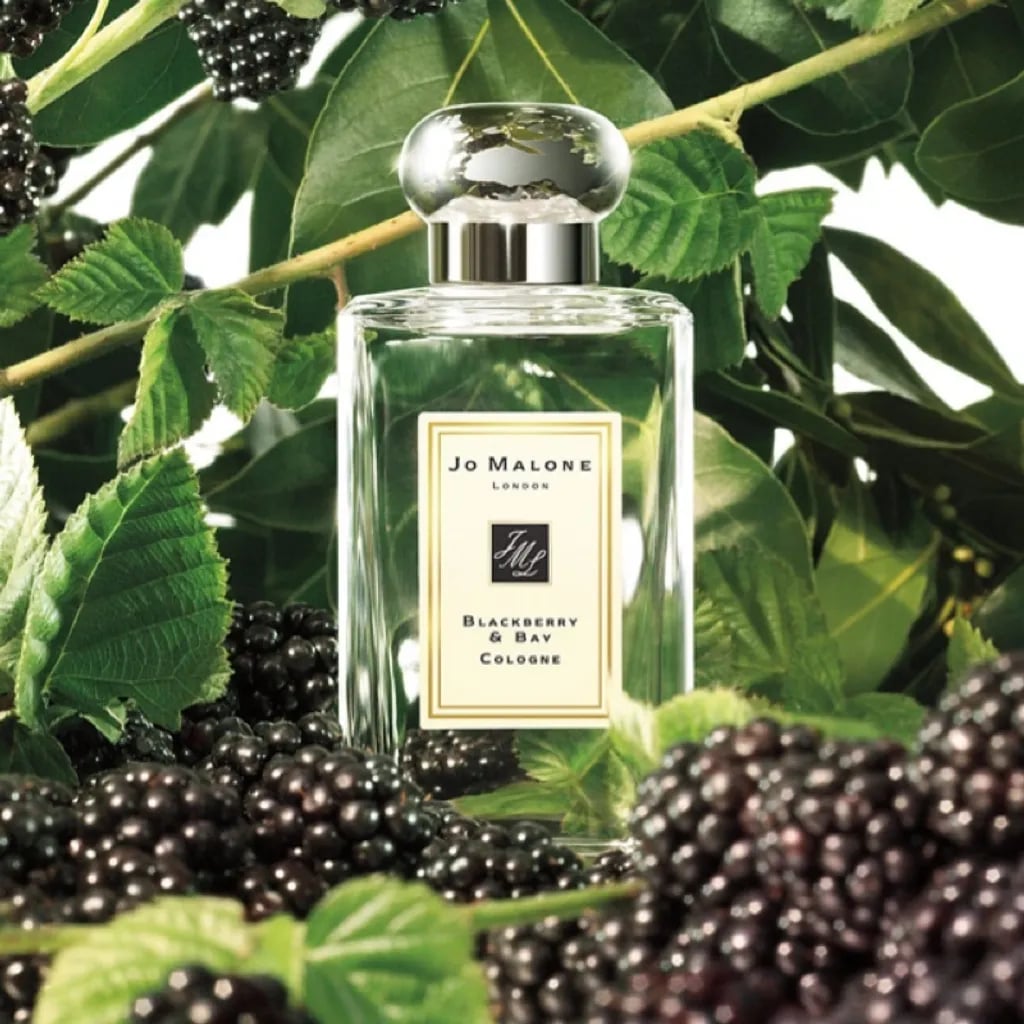 Jo Malone London「黑莓子與月桂葉」