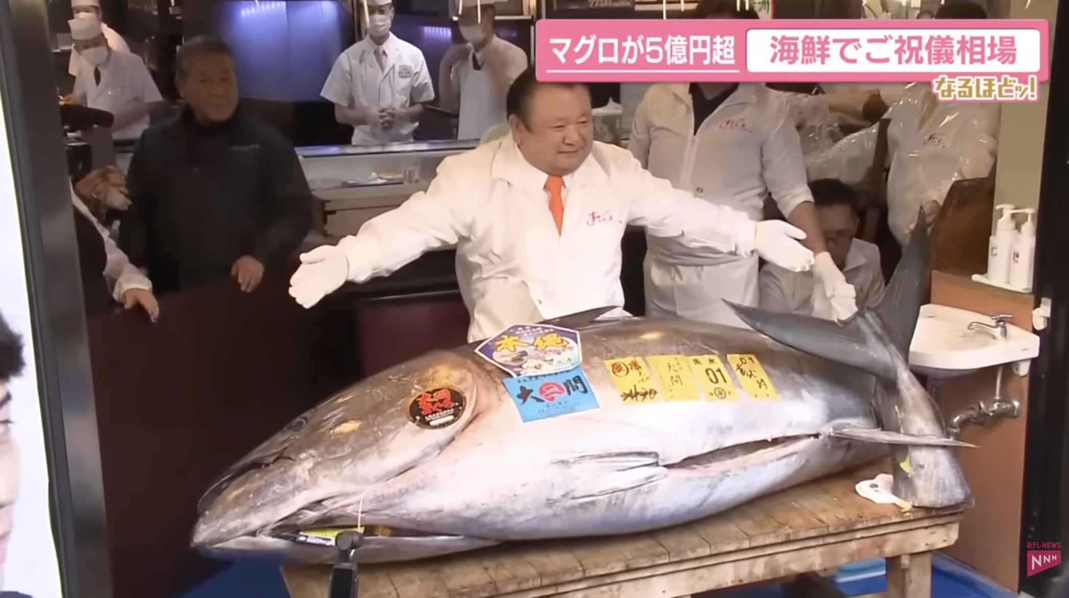 壽司郎社長砸 1.1 億台幣買天價鮪魚!5 億日圓黑鮪魚曝光,網驚呼:「比賽馬還貴」引熱議!