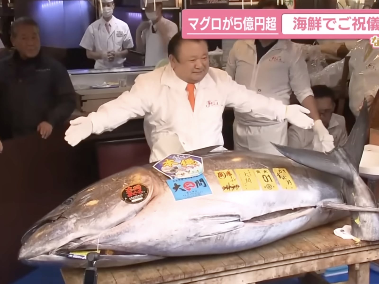 壽司郎社長砸 1.1 億台幣買天價鮪魚！5 億日圓黑鮪魚曝光，網驚呼：「比賽馬還貴」引熱議！