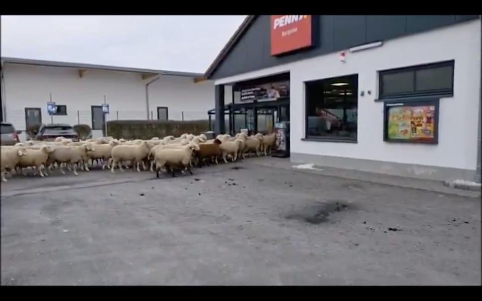 德國 1 月新政大爆發!HBO Max 登陸、退休稅優惠...等事件一次看!