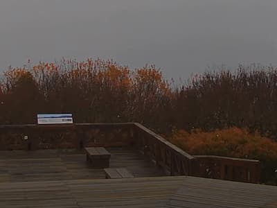 阿里山睽違 8 年再度下雪！網驚：「不敢相信自己的眼睛！」