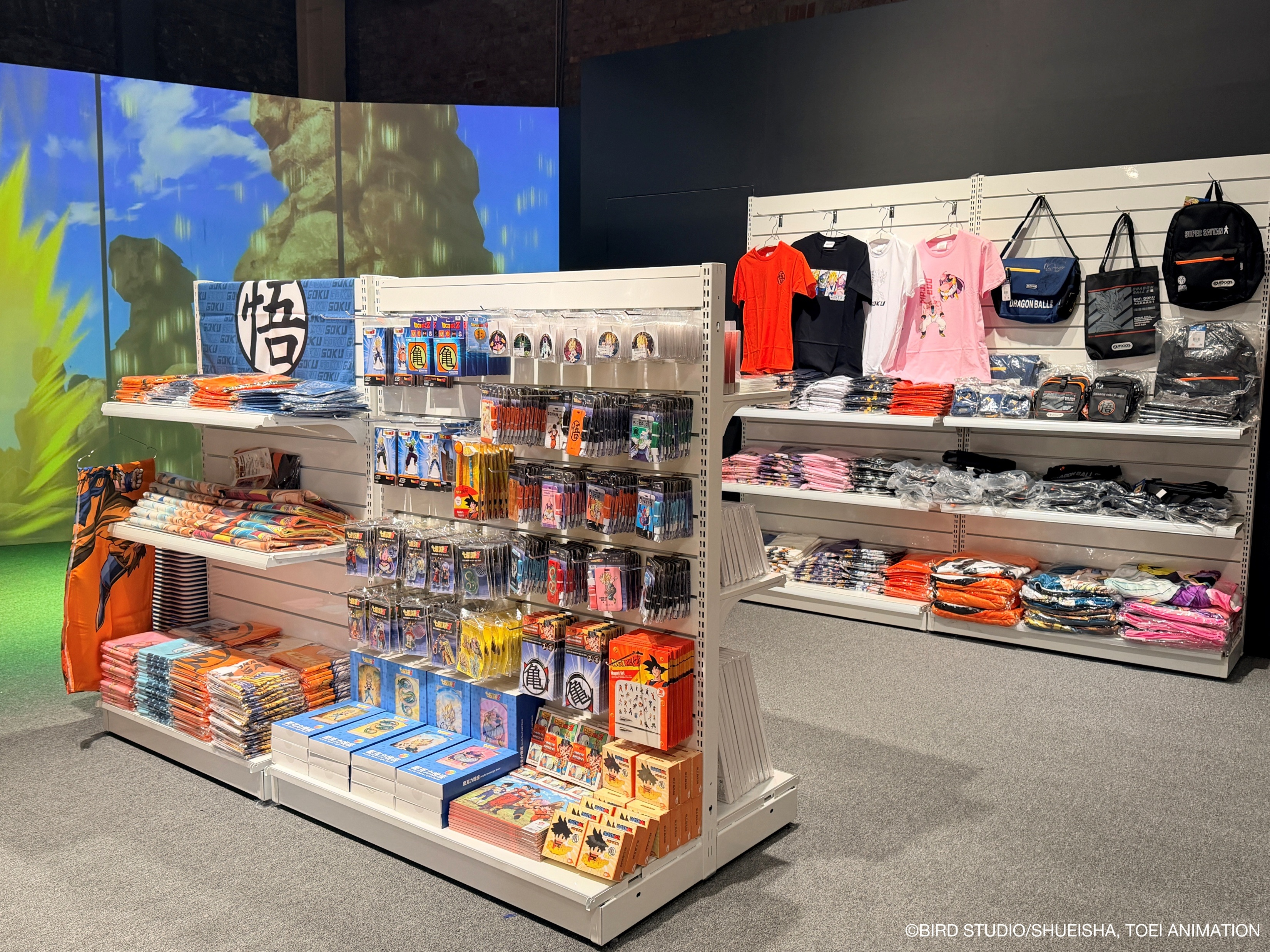 《七龍珠》特展華山熱血開幕！經典場景神還原、龍珠雷達互動粉絲暴動