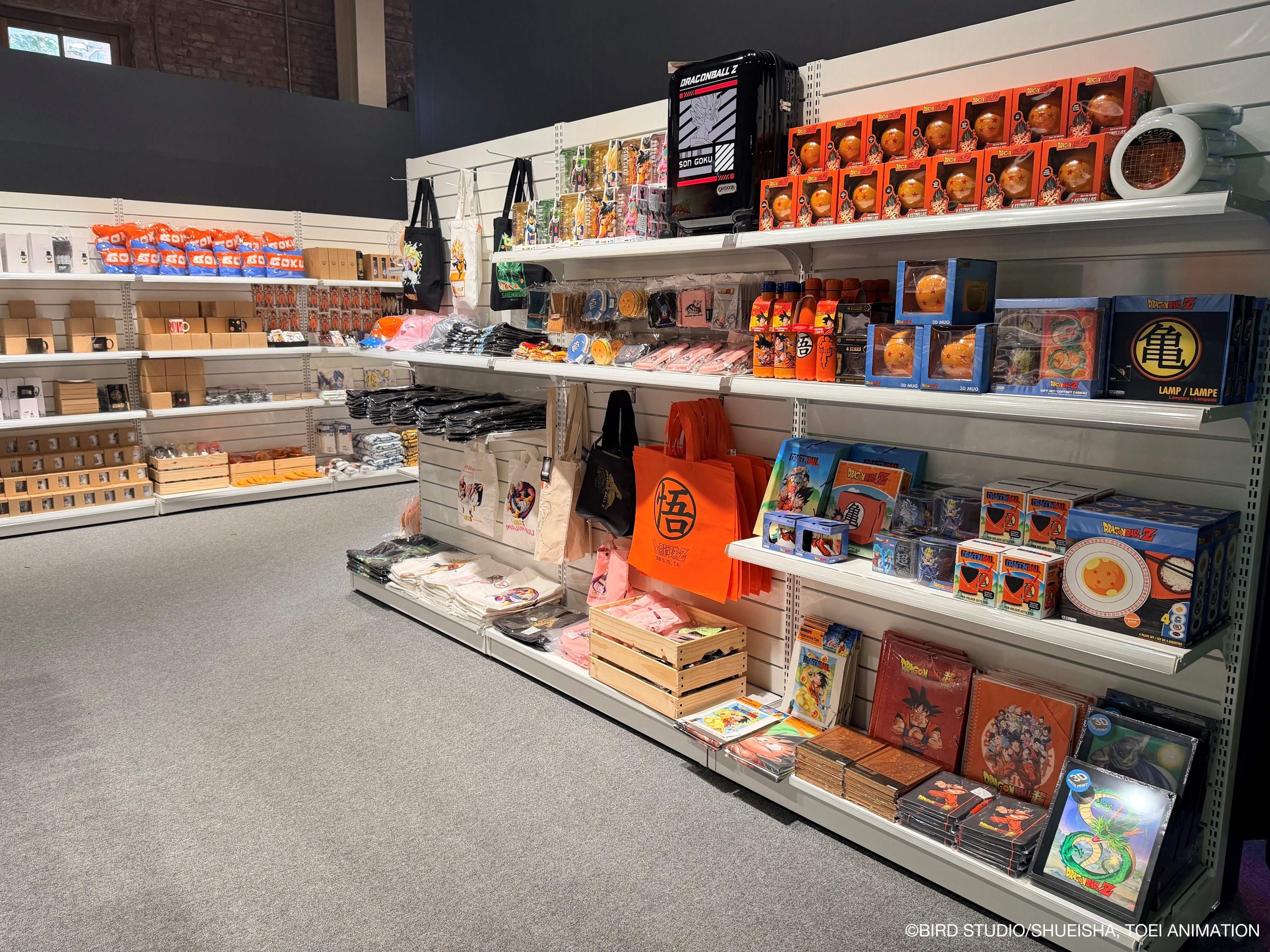 《七龍珠》特展華山熱血開幕！經典場景神還原、龍珠雷達互動粉絲暴動