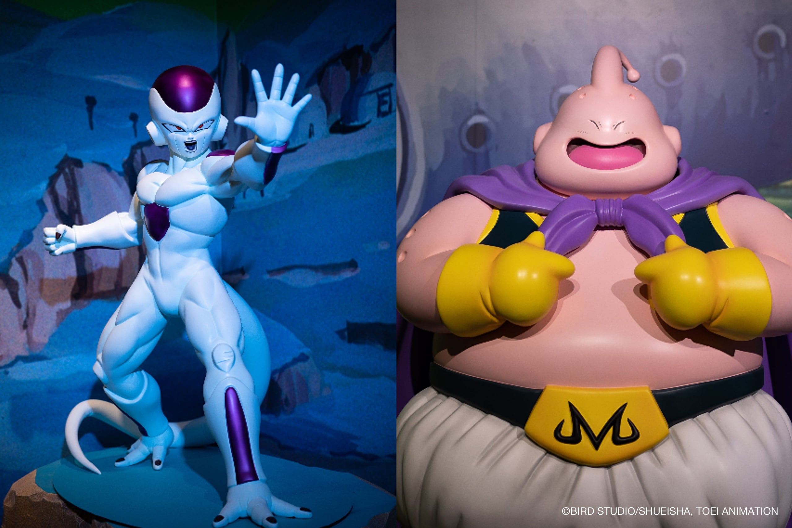 《七龍珠》特展華山熱血開幕！經典場景神還原、龍珠雷達互動粉絲暴動