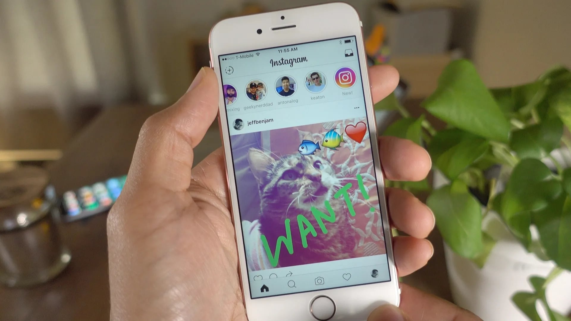 Instagram 2026 又要改策略了？總監表示將認證真圖、建議創作者發佈更「原始」的內容！