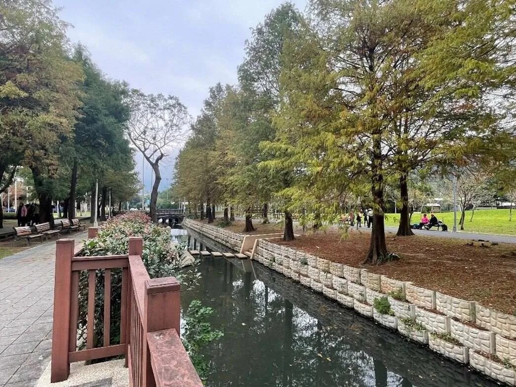 2026 大台北落羽松景點總整理｜交通資訊、最佳觀賞時間、穿搭推薦⋯一次看！